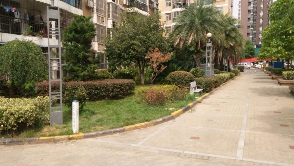 东湖路幼儿园 东湖路小学 新一中 附近百花园 三