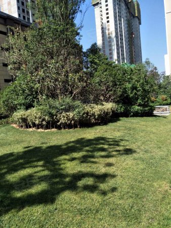 天朗悦城 精装四室 业主送车位 产证在手 随时过