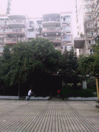 江北区黄泥磅轻轨站旁!金华园!装修两房户型方