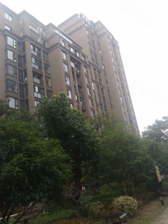 五常版块 西溪郡 绿城物业新劝君莫惜金缕衣,劝