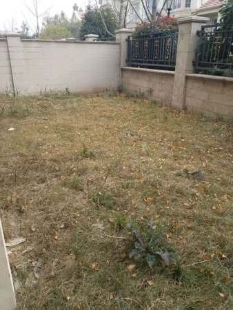 急售 洞林湖 联排别墅 位置好 院子大 随时过户