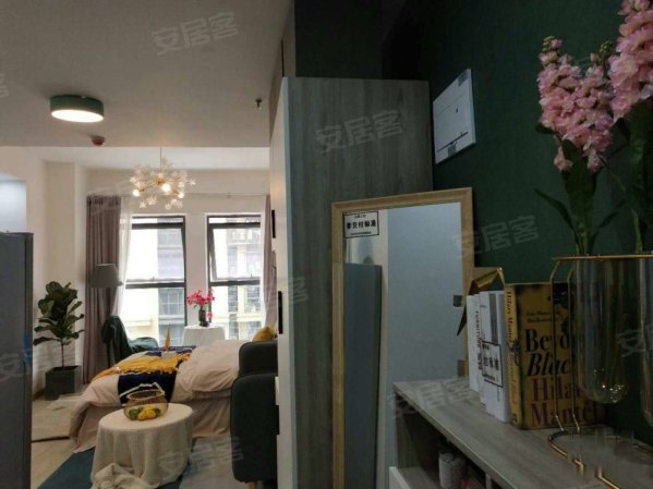 不限够!大套1变小套2(精装+现房+双地铁200米