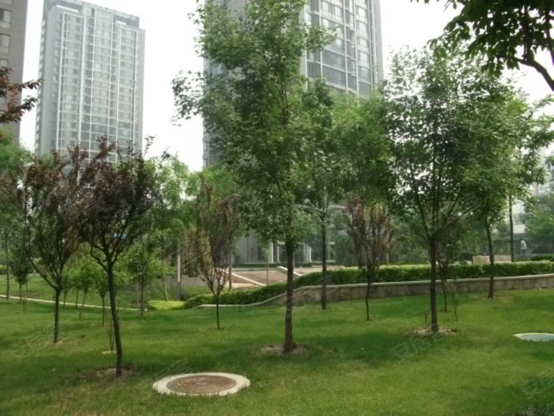 北京楼盘 丰台楼盘 其他楼盘 顺驰蓝调国际