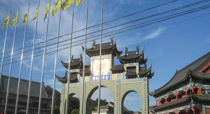 奇景家苑人口_黄鹤楼奇景(2)