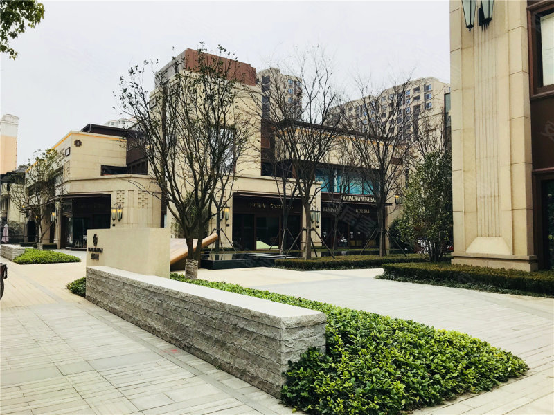 上海东原逸墅-实景图(2) - 上海安居客