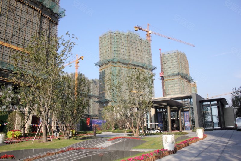 上海仁恒西郊花园-实景图(23 上海安居客