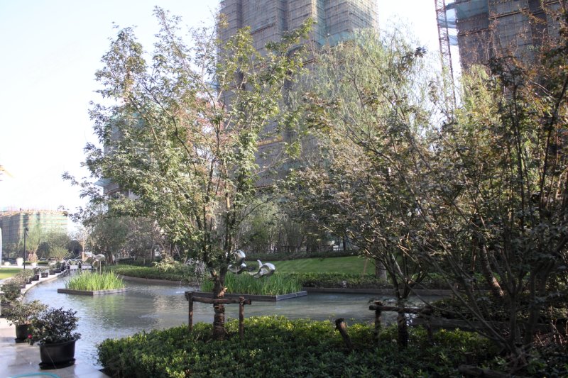 上海仁恒西郊花园-实景图(22 上海安居客