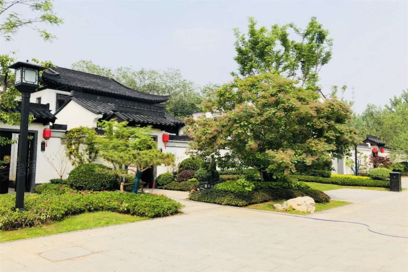 蓝城退出桃花源,蓝城桃花源,绿城桃花源(第15页)_大山谷图库
