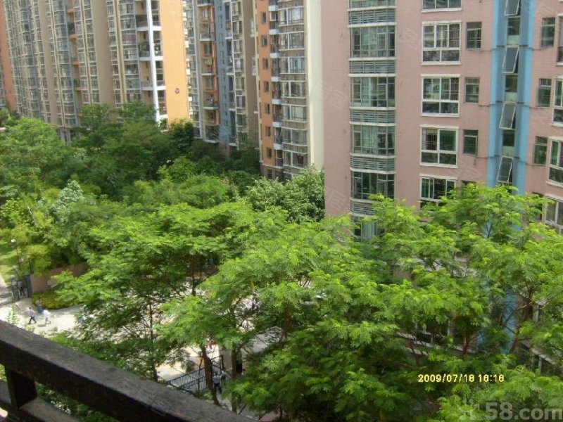 800x600.jpg