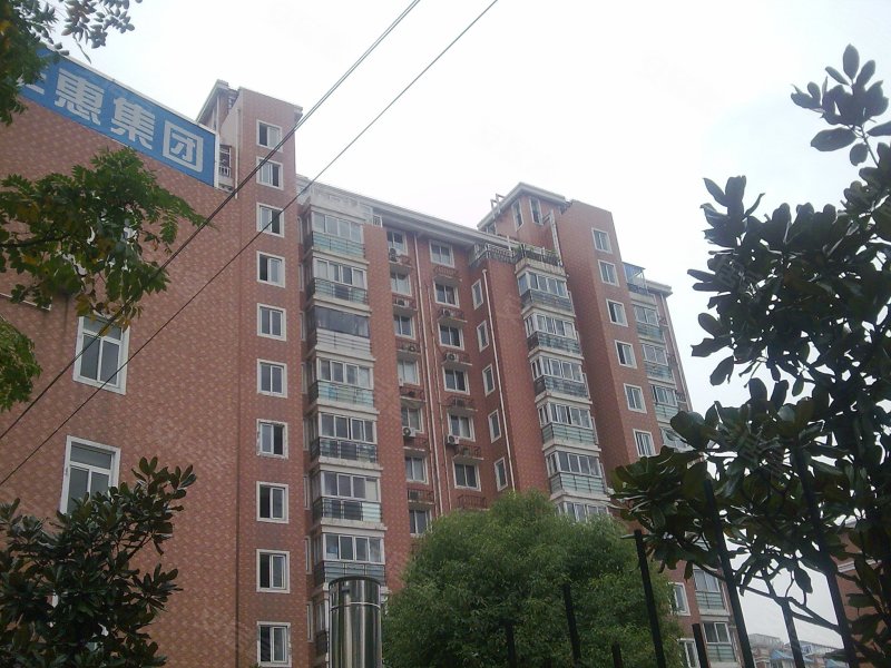 上海长阳新苑-实景图(38) - 上海安居客