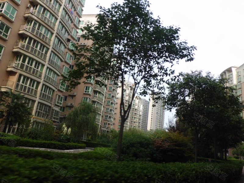 旭景碧泽园