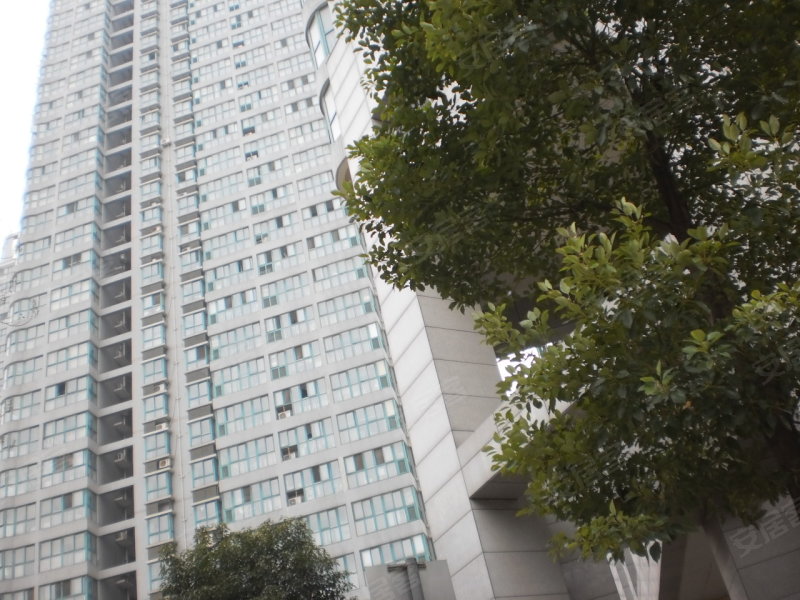 武汉御景名门-实景图(4) - 武汉安居客