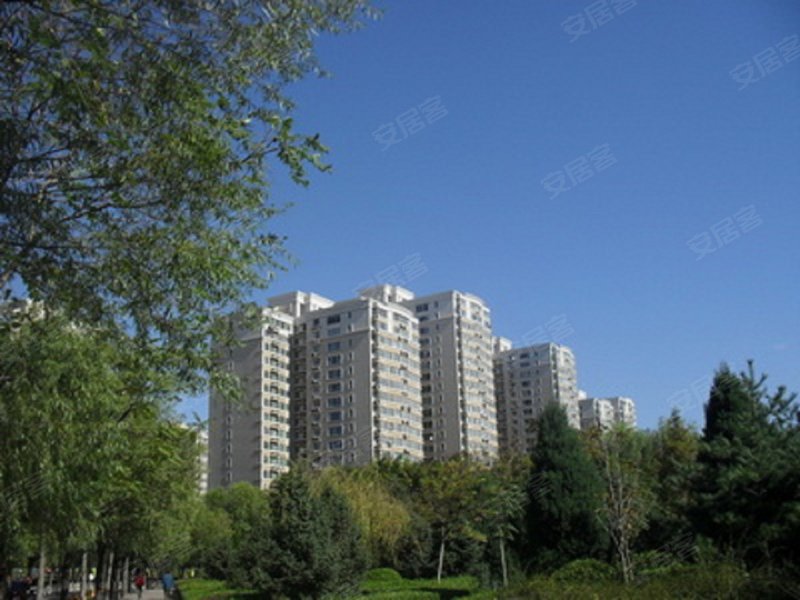 北京望京西园三区-实景图(23 北京安居客