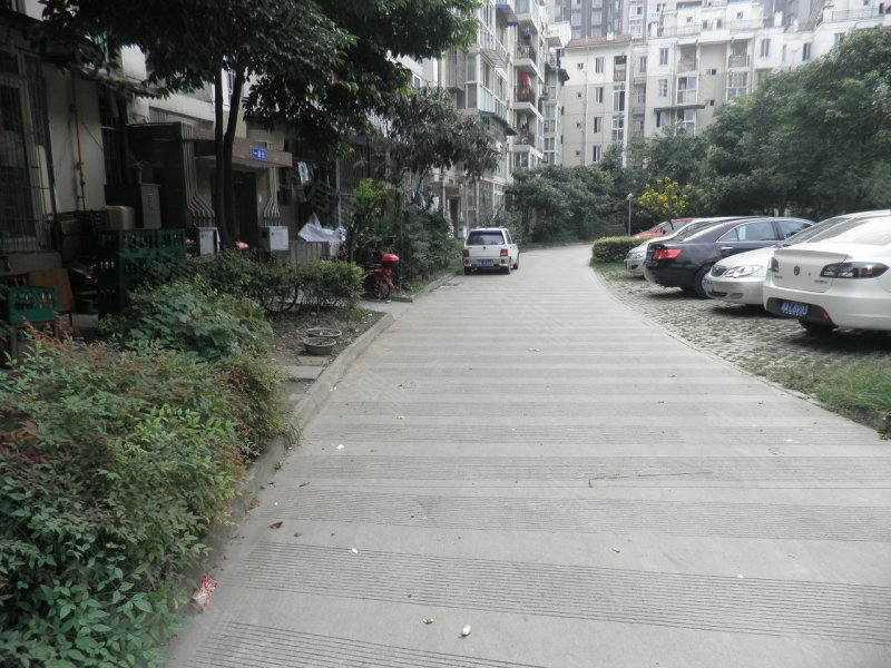 成都中坝小区-实景图(22) - 成都安居客