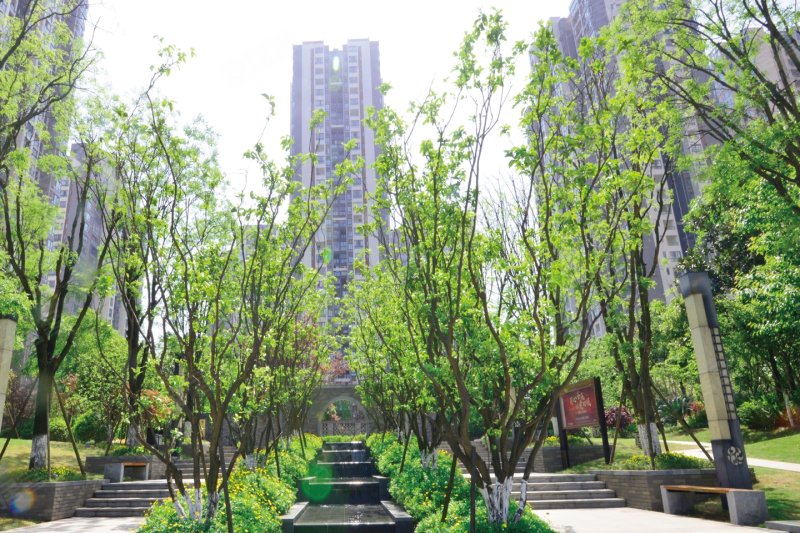 泽京海棠香国香溪樾