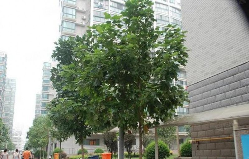 迈皋桥街道2018年经济总量_迈皋桥地铁站