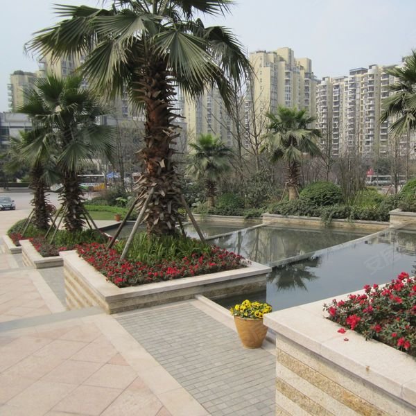 雅居乐国际花园