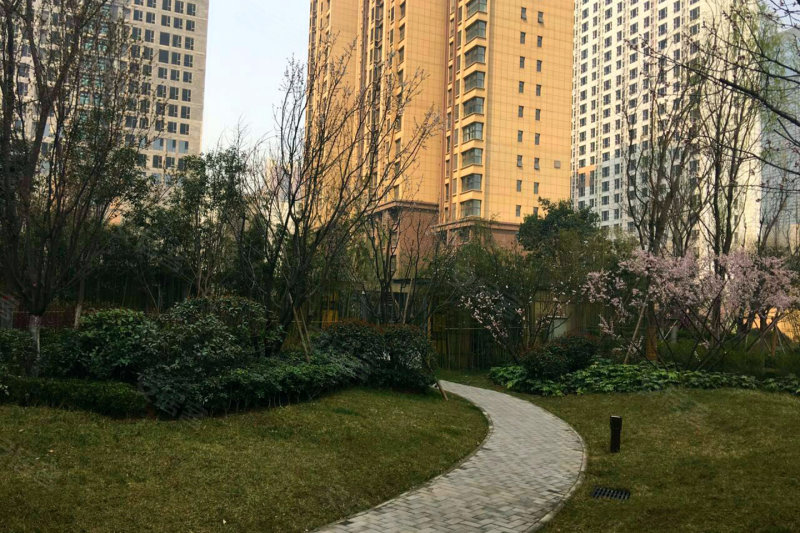 华远锦悦