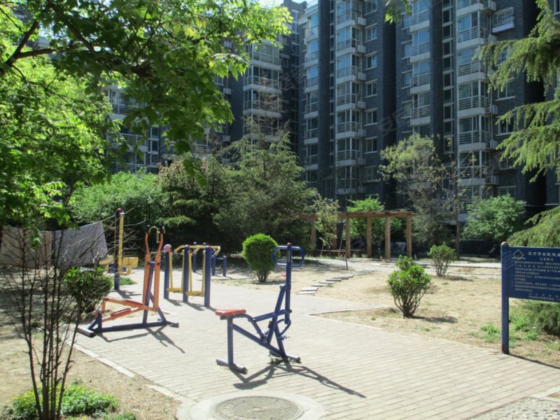 800x600.jpg