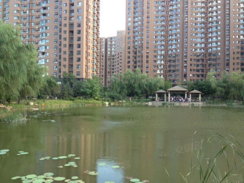 北京富力桃园-实景图(29) - 北京安居客