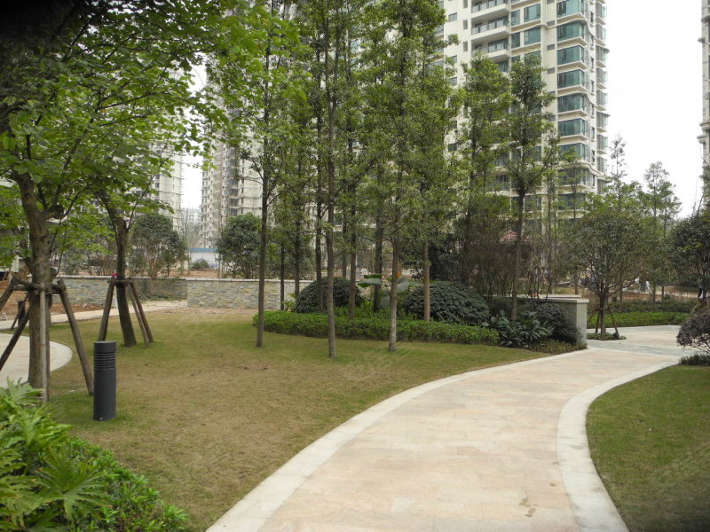 重庆雅居乐国际花园-实景图(146 重庆安居客
