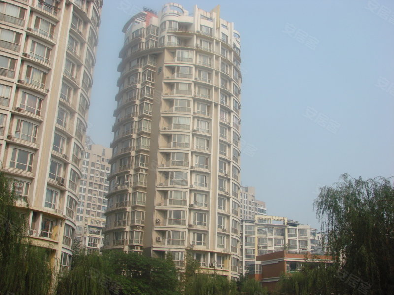 郑州金色港湾-实景图(163) - 郑州安居客