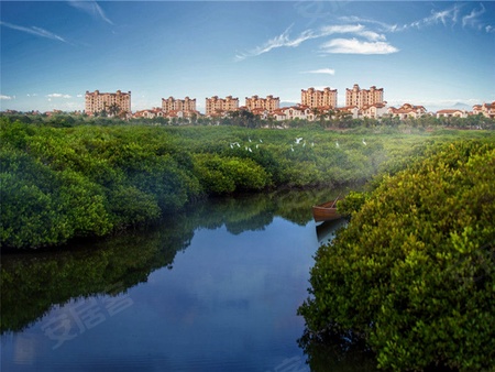 富力红树湾,海口富力红树湾房价,楼盘户型,周边