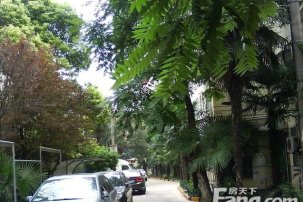 茂兴人口_巨茂兴的老婆岳丽娜