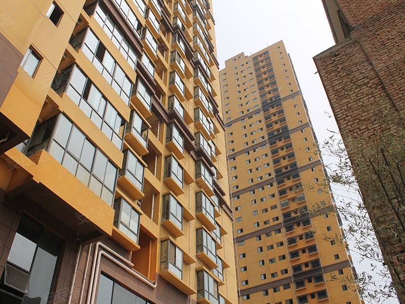 800x600c.jpg