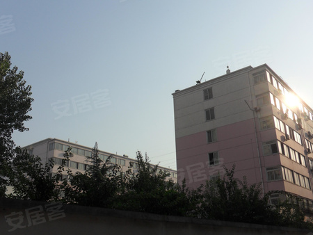 450x338x98c.jpg