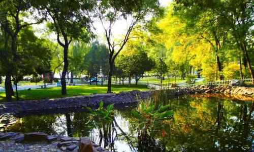 有一种投资叫东湖曦园！