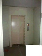 320x239.jpg