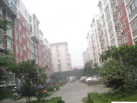 新田公寓,郑州新田公寓房价,楼盘户型,周边配套