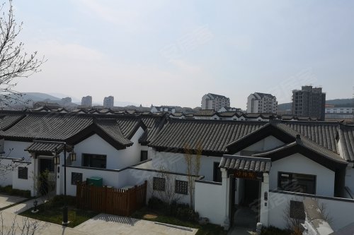 500x375n.jpg