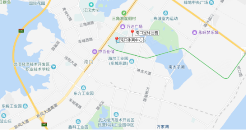 武汉沌口gdp_武汉7个区跻身 千亿区 ,还有2个区GDP逼近千亿元