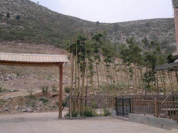 600x450x98c.jpg