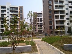240x180c.jpg