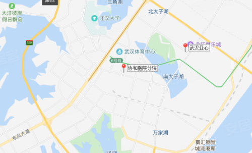 武汉沌口gdp_武汉7个区跻身 千亿区 ,还有2个区GDP逼近千亿元