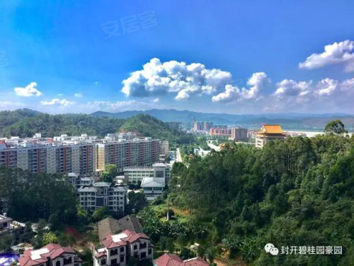 封开gdp_怀阳高速西江特大桥北岸主塔封顶,计划2020年底建成通车(2)
