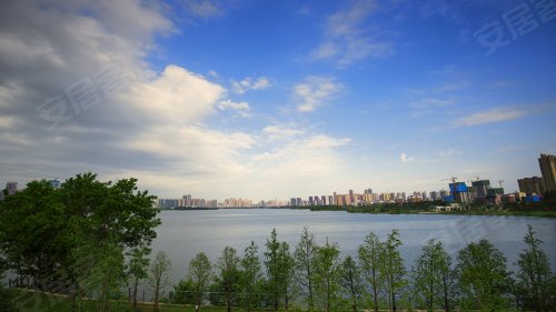 500x375n.jpg