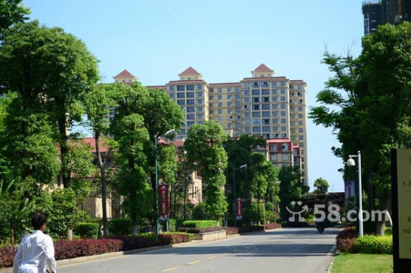 晟通城,3室2厅2卫,金星大道109号,长沙本周最