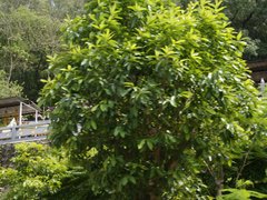 博罗名企盘佳兆业东江新城 周边配套图解 –惠