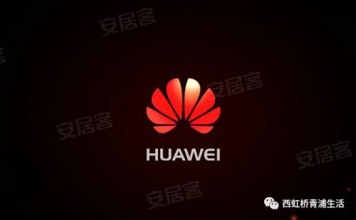 硅谷人口组成_血液组成图(3)