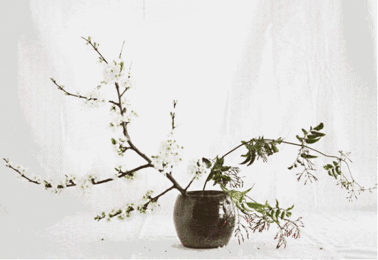 母亲节倾情回馈在书香尚城,邂逅最美母亲