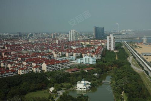 点击图片查看详情 松江新桥人口_松江区新桥镇庙三路流动人口服务中心最近的联通营业厅在哪(3)