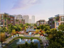 平原新区房价,平原新区房价走势2016,郑州平原