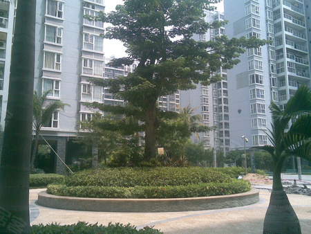 1狠狠干影院高清图片