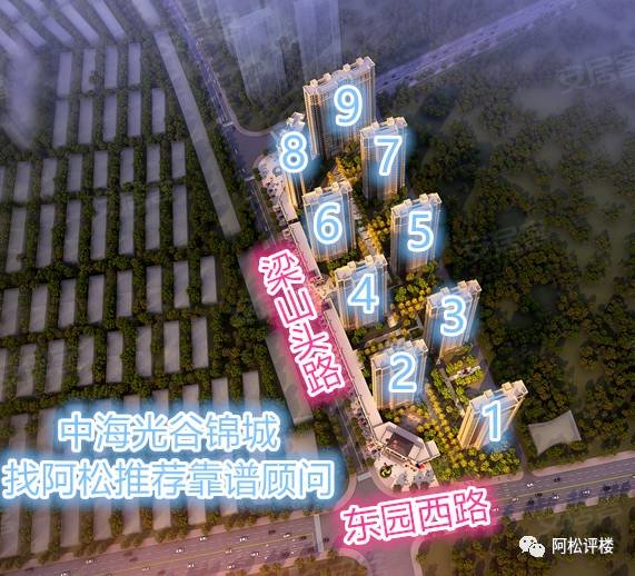 藏龙岛人口_藏龙岛生存指南,未来2号线南延线开进这里(2)