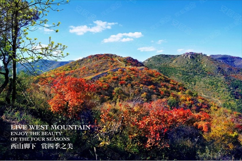 海淀洋房声势来袭 香山四季带你足不出户看香山(组图)