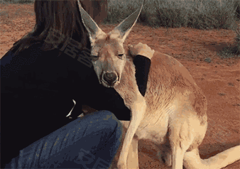 好莱坞《神奇动物》上演,神秘嘉宾惊现福州!